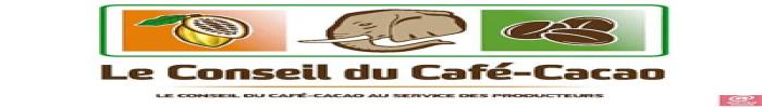 Conseil Cafe Cacao